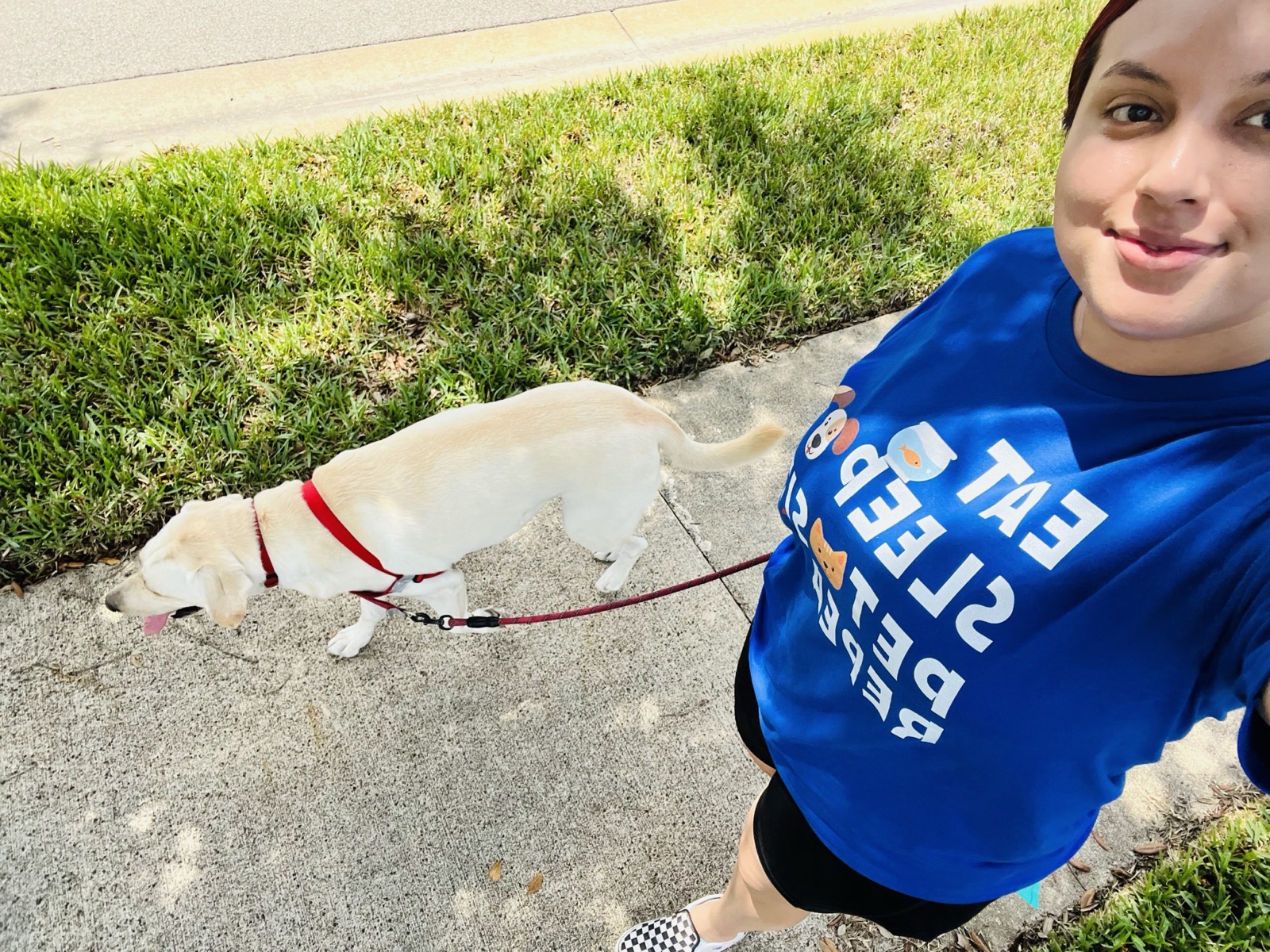 Dog walks in Ave Maria