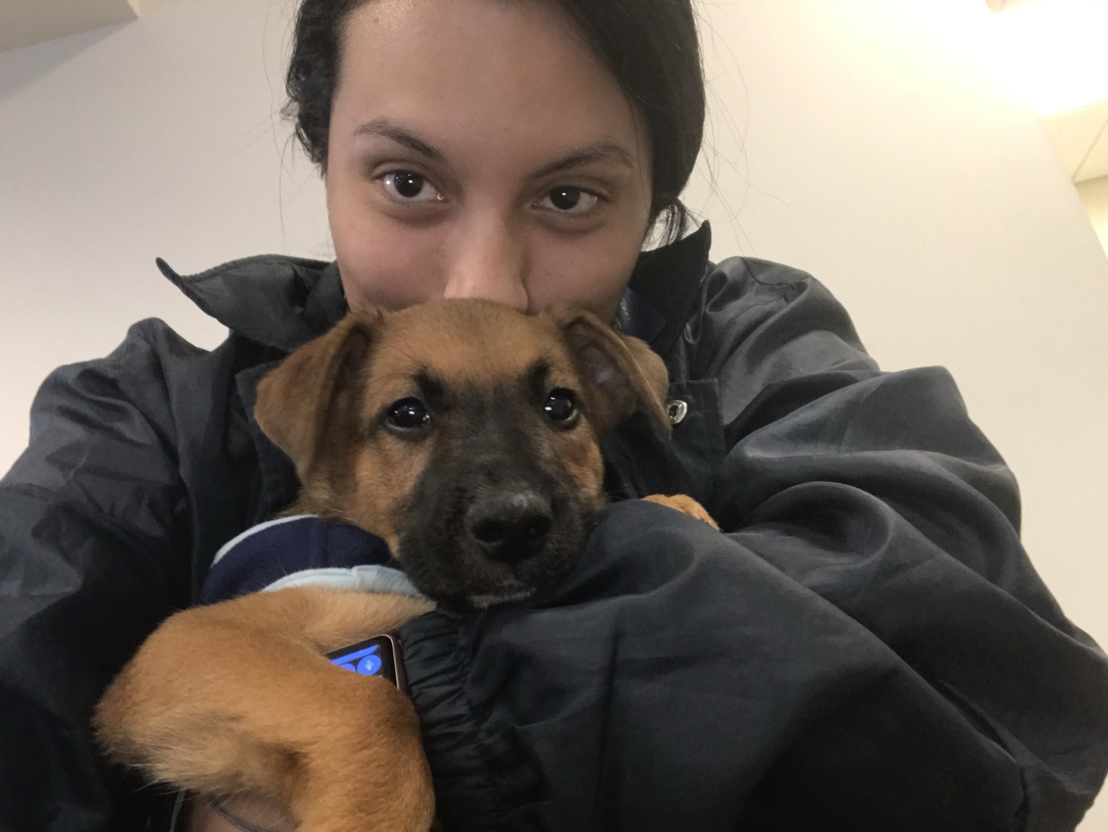 Rescued puppy in caring arms